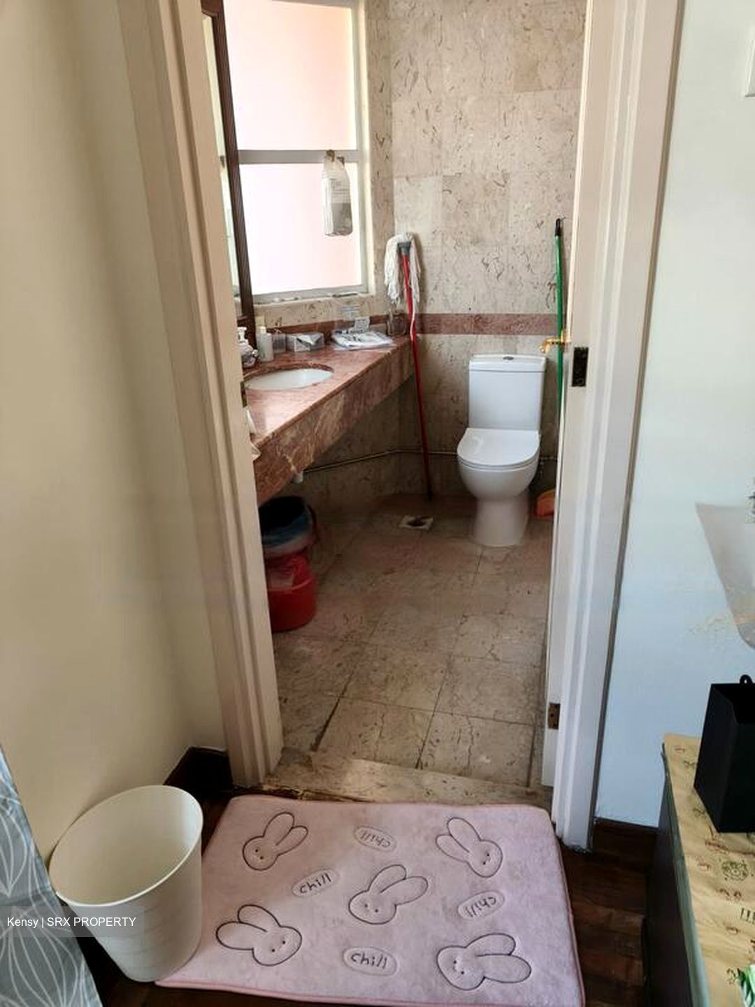 The Springside (D26), Terrace #463593031